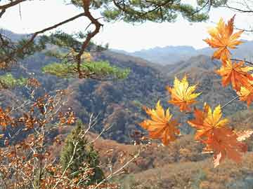 队记：格莱姆斯认为自己应获得2500万年薪 76人报价仅4年3900万